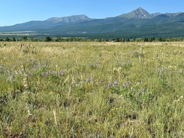5151 County Rd 160, Westcliffe, CO 81252 - photo 13