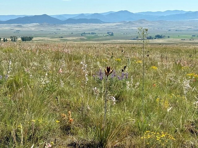 5151 County Rd 160, Westcliffe, CO 81252 - photo 17