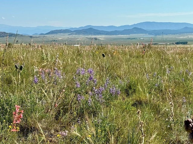 5151 County Rd 160, Westcliffe, CO 81252 - photo 16