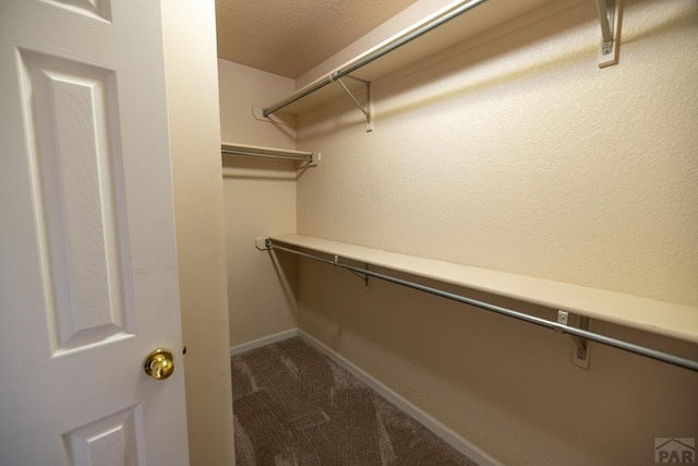 5393 Cragmoor Dr, Pueblo, CO 81005 - photo 26