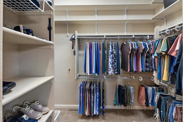 spacious closet with carpet flooring and visible vents