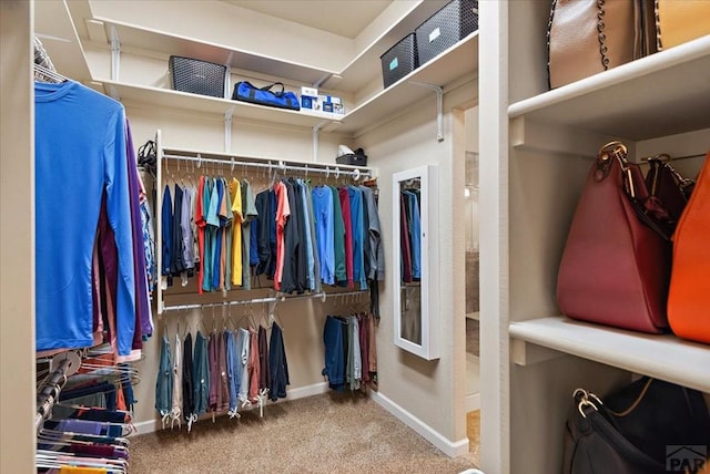 spacious closet with carpet flooring