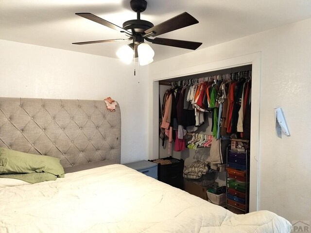 30620 Aldred Rd, Pueblo, CO 81006 - photo 10