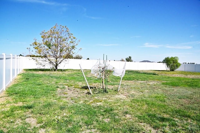 view of yard featuring a fenced backyard