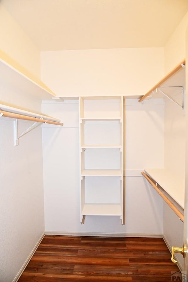 walk in closet featuring dark wood-style flooring