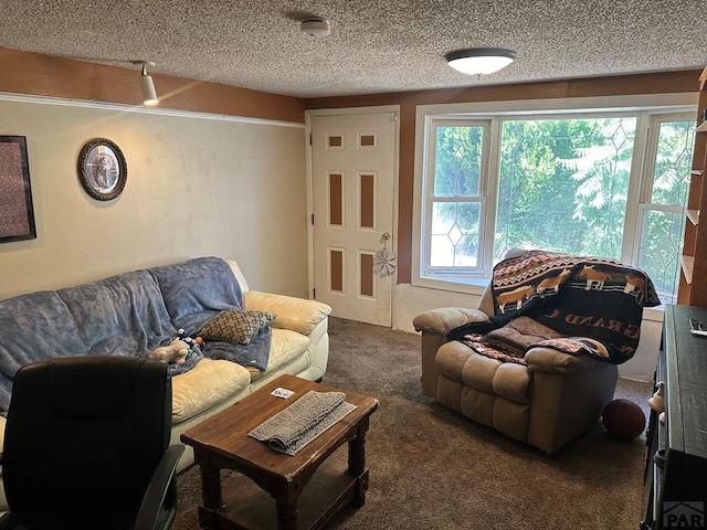 living area with dark colored carpet and a textured ceiling