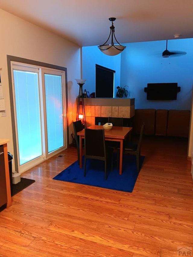 3914 Bison Ln, Pueblo, CO 81005 - photo 5