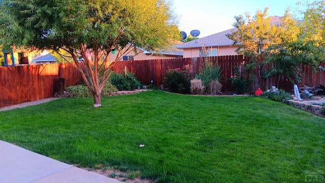 3914 Bison Ln, Pueblo, CO 81005 - photo 10