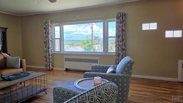 316 N Hooper Ave, Walsenburg, CO 81089 - living room featuring radiator heating unit, wood finished floors, a ceiling fan, and ornamental molding
