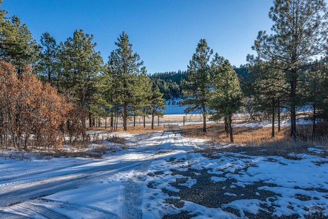 19140 County Rd 31.9, Weston, CO 81091 - photo 50