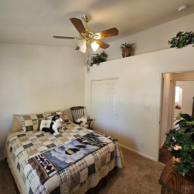 593 E Mcculloch Blvd, Pueblo West, CO 81007 - photo 24
