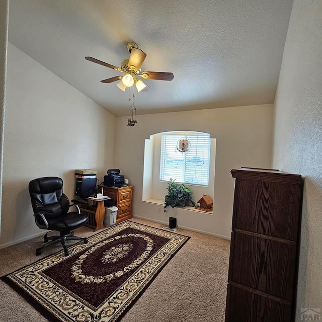 593 E Mcculloch Blvd, Pueblo West, CO 81007 - photo 19