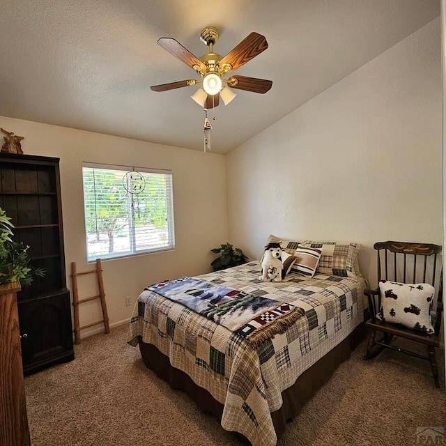 593 E Mcculloch Blvd, Pueblo West, CO 81007 - photo 23