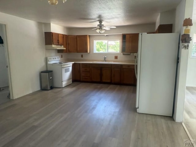 304 S Mullen, Lamar, CO 81052 - kitchen with white appliances, under cabinet range hood, light wood-style floors, light countertops, and brown cabinets