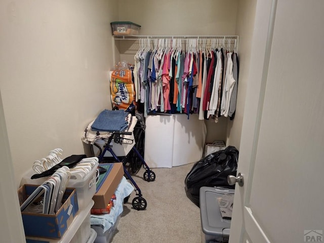 walk in closet with carpet flooring