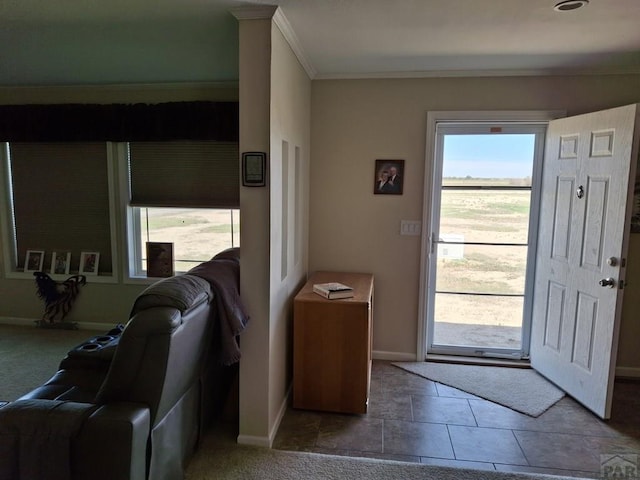 entrance foyer with a healthy amount of sunlight, crown molding, and baseboards