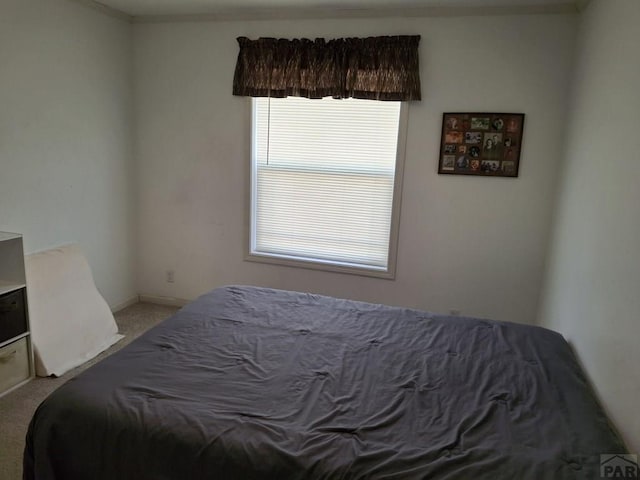 bedroom with light colored carpet