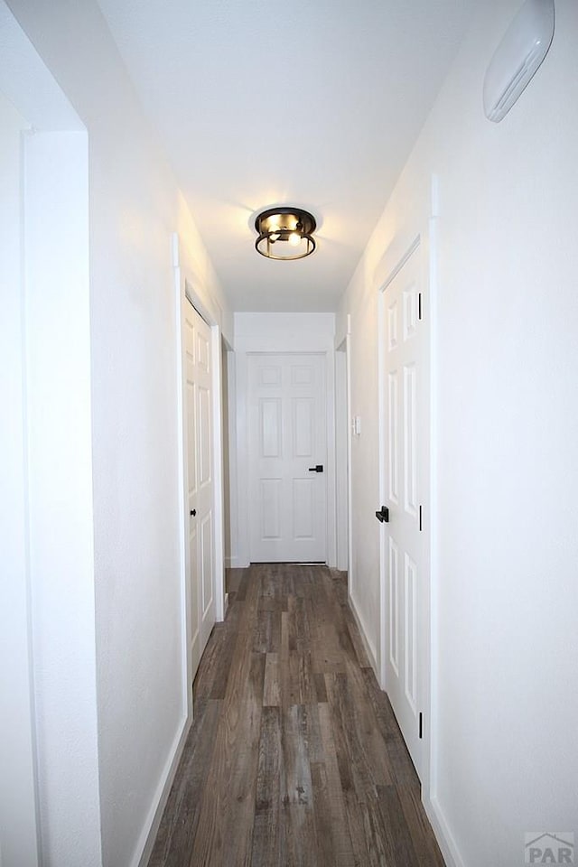 2571 Gladiola St, Pueblo, CO 81005 - photo 15