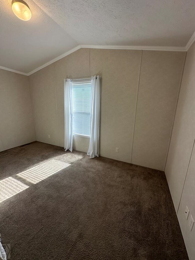 bonus room featuring carpet floors, vaulted ceiling, and a textured ceiling