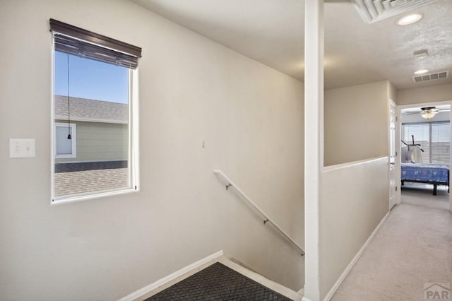 5073 Buchanan Dr, Pueblo, CO 81008 - stairway with carpet floors