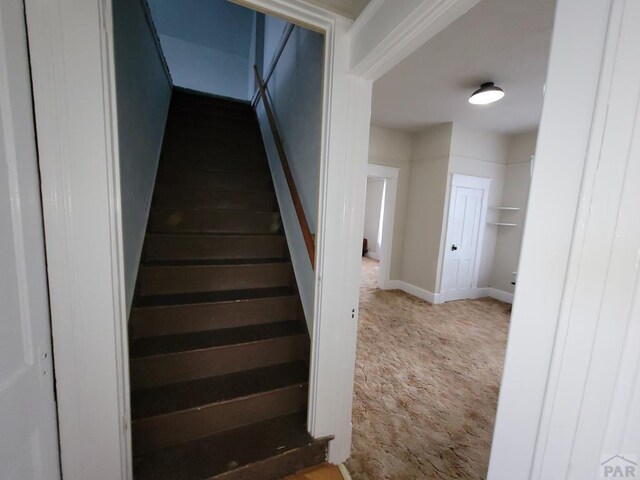 stairway with baseboards