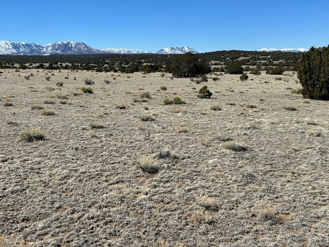 LOT93 Twin Lakes Rnch, Walsenburg, CO 81089 - photo 3