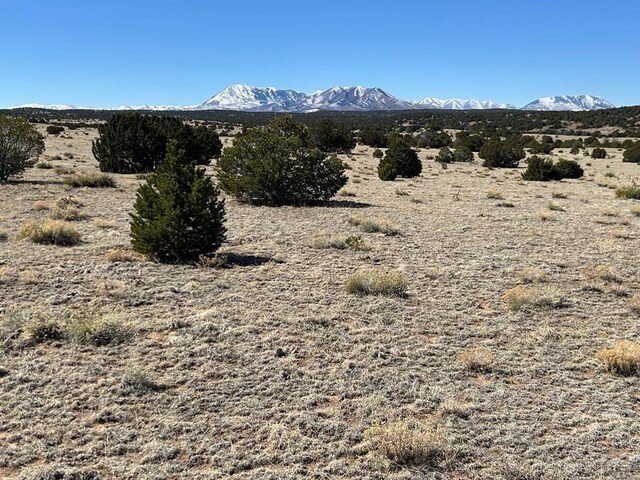LOT93 Twin Lakes Rnch, Walsenburg, CO 81089 - photo 6