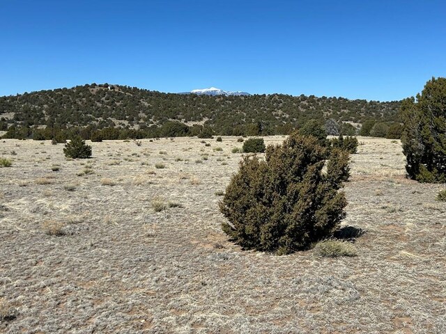LOT93 Twin Lakes Rnch, Walsenburg, CO 81089 - photo 4