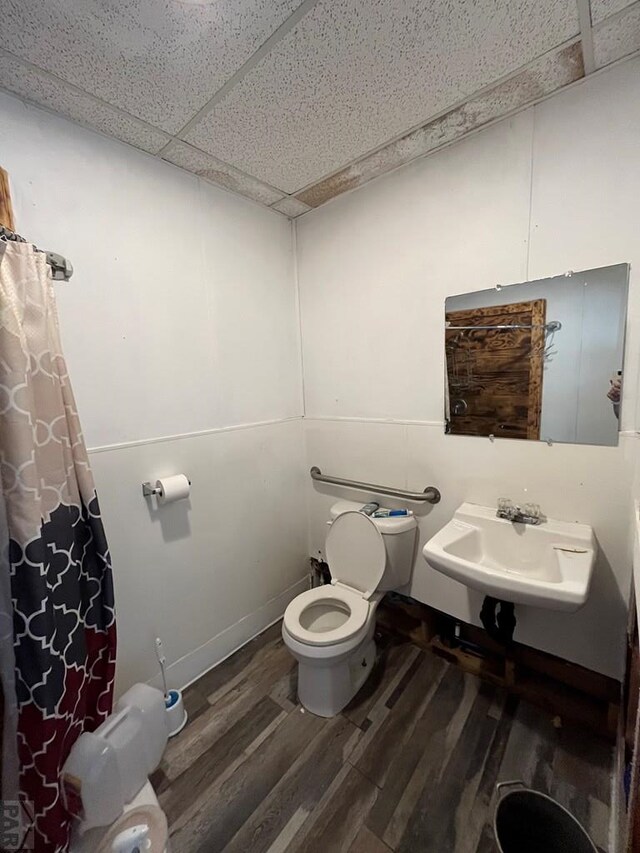 bathroom featuring toilet, a drop ceiling, a sink, and wood finished floors