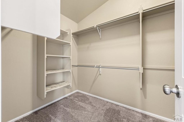 5524 Bellagio Way, Pueblo, CO 81005 - photo 31