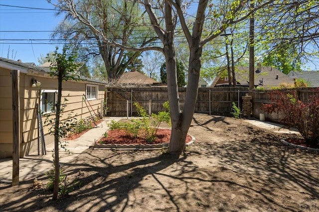 view of yard featuring a fenced backyard and a patio area