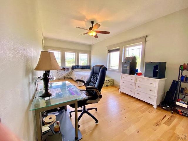 2190 Pope Valley Ranch Rd, Beulah, CO 80123 - photo 11