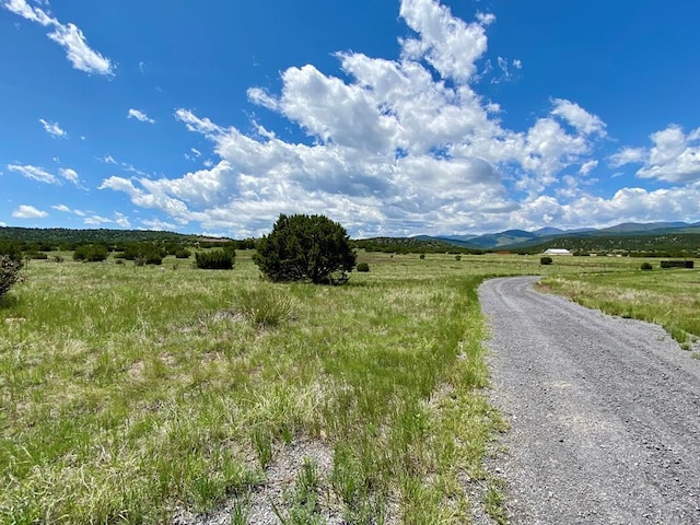 2190 Pope Valley Ranch Rd, Beulah, CO 80123 - photo 23
