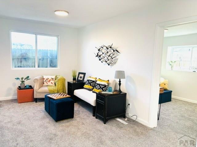 521 Tyler St, Pueblo, CO 81004 - sitting room featuring carpet flooring, plenty of natural light, and baseboards
