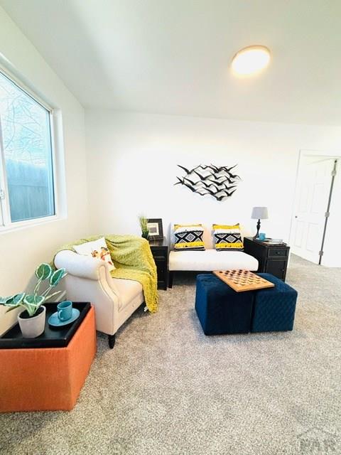 521 Tyler St, Pueblo, CO 81004 - living room featuring carpet floors