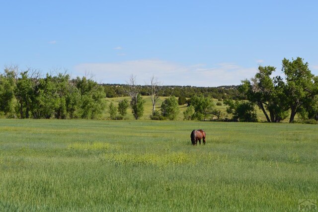 view of local wilderness with a rural view