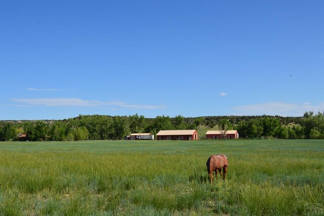 view of property's community featuring a rural view