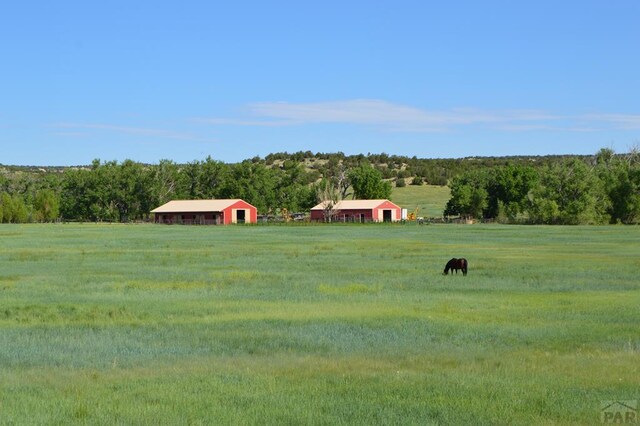 view of yard with driveway and a rural view