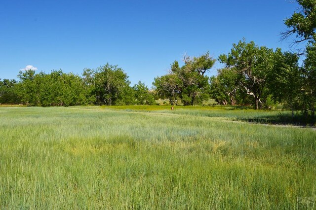 view of local wilderness with a rural view