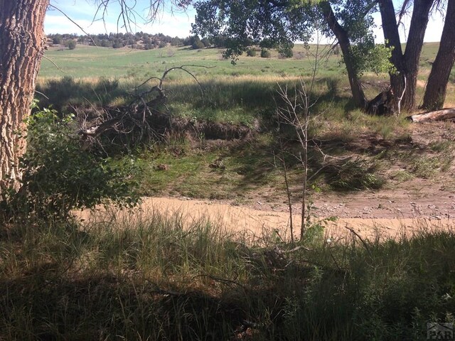 view of local wilderness featuring a rural view