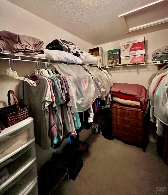 spacious closet featuring carpet flooring and attic access