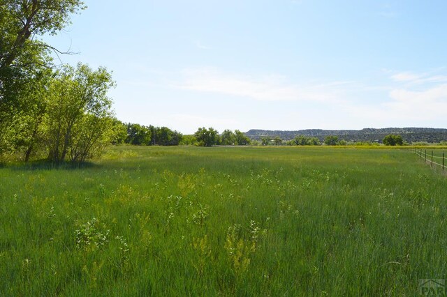 view of nature with a rural view