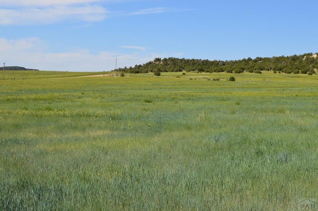 view of nature featuring a rural view