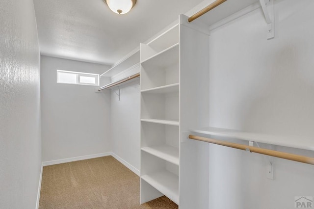 walk in closet with light colored carpet