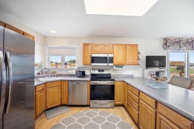 356 N Earl Pl, Pueblo West, CO 81007 - photo 13
