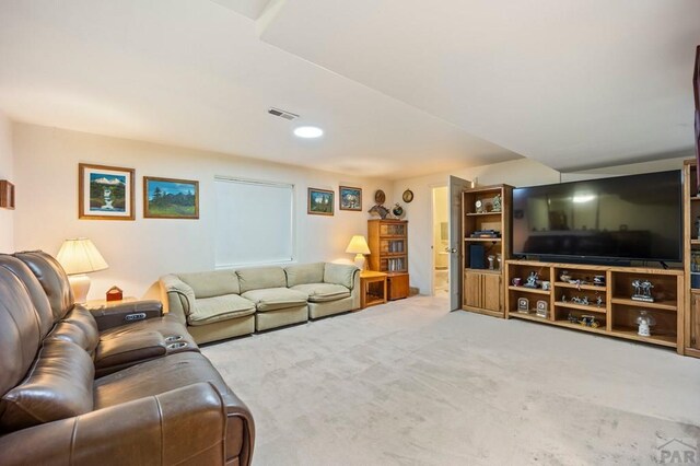 356 N Earl Pl, Pueblo West, CO 81007 - photo 24