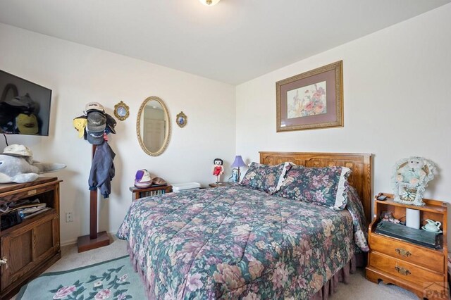 356 N Earl Pl, Pueblo West, CO 81007 - photo 17