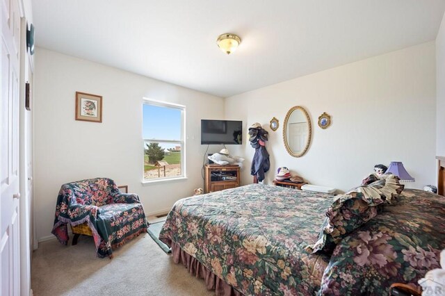 356 N Earl Pl, Pueblo West, CO 81007 - photo 16