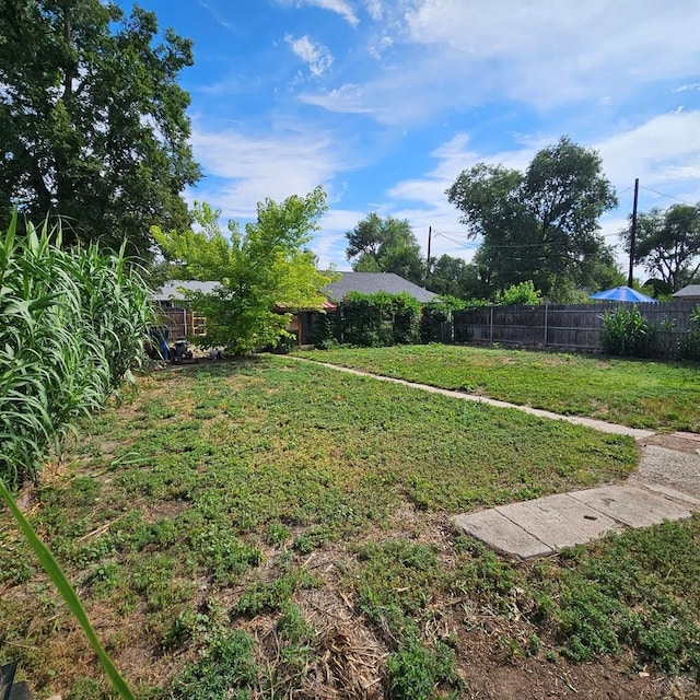 1819 W Arroyo Ave, Pueblo, CO 81004 - view of yard
