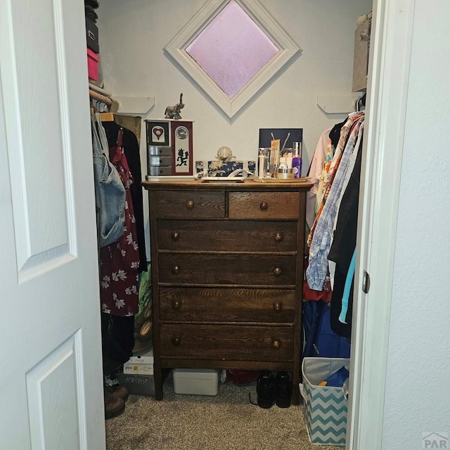 1819 W Arroyo Ave, Pueblo, CO 81004 - walk in closet with carpet